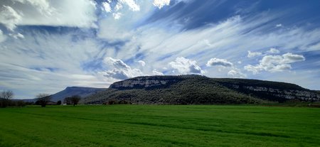 IMG_20200305_124514.jpg