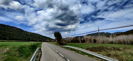 IMG_20200305_124529.jpg