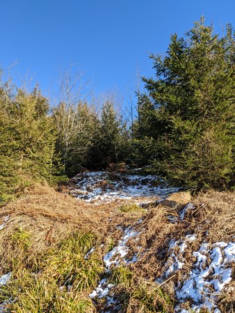 IMG_20200322_164711.jpg