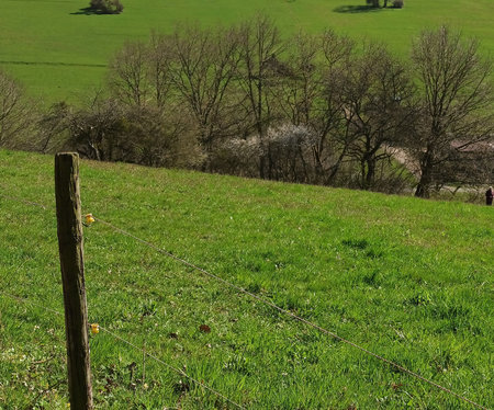 IMG_20200322_141129 - 64MP - AUSSCHNITT.jpg