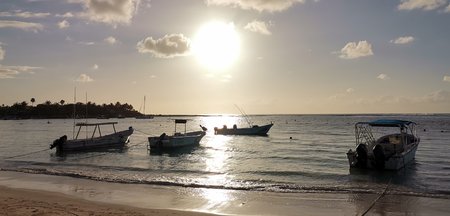 IMG_20200312_075347.jpg
