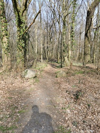IMG_20200327_150610.jpg