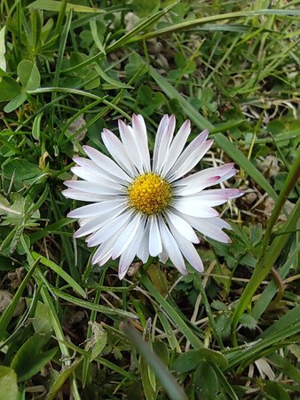 IMG_20200327_163416.jpg