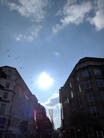 IMG_20200328_153845.jpg