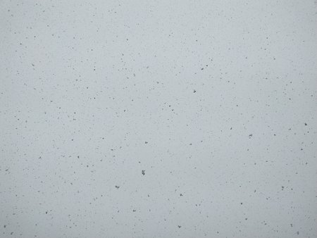 IMG_20200330_110525.jpg