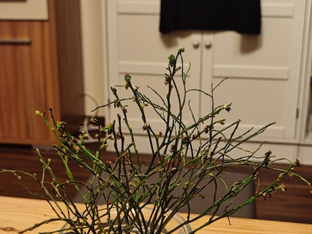 IMG_20200331_194616.jpg