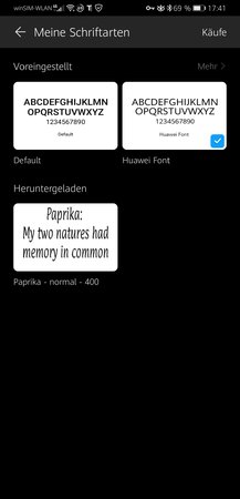 Eigene-Schriftart-unter-Themes.jpg