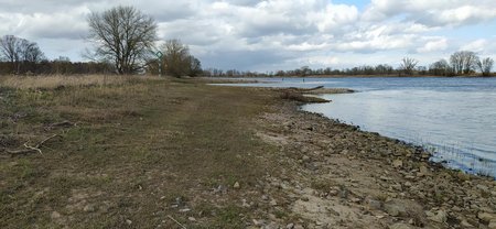 IMG_20200403_153122.jpg