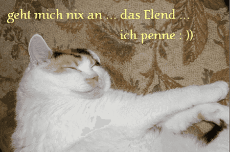 Bildschirmfoto 2010-02-05 um 06.53.15.png
