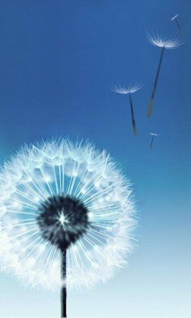 Galaxy S3 Wallpaper (1).jpg