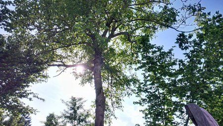 IMAG0013.jpg