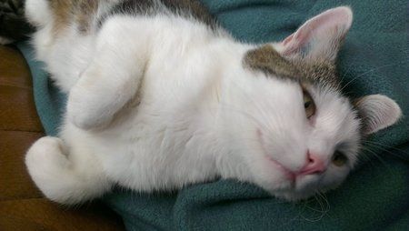 2012-05-28 11.37.55.jpg