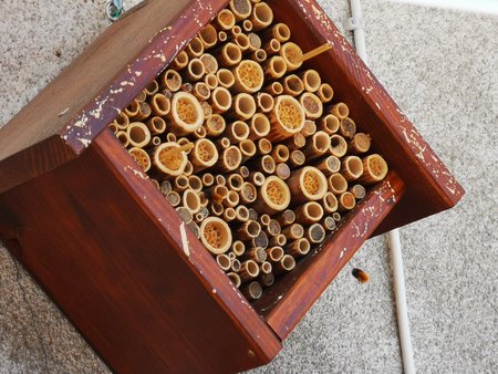 2020-04-05_Bienen-und-ihr-Hotel-auf-der-Terrasse_01.jpg