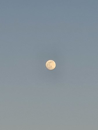 20200406_194248.jpg
