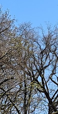 20200407_030710.jpg