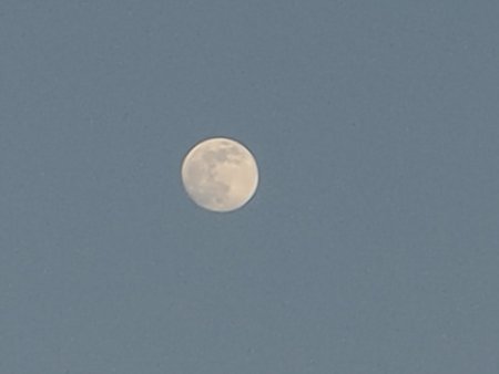 IMG20200406194415.jpg