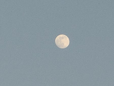 IMG20200406194427.jpg