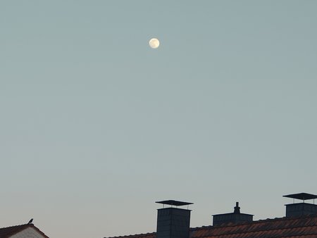 IMG20200406194533.jpg