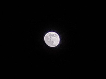 IMG20200307203509_03.jpg