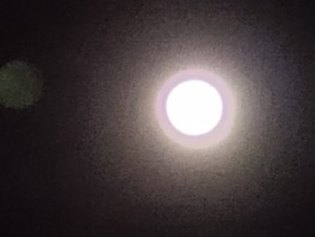 IMG20200407222705.jpg