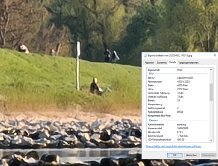 a1-f1-m28565-image001_2epng_4001D60D6C_2e7E66BE60-1.png