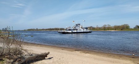 IMG_20200410_131831.jpg