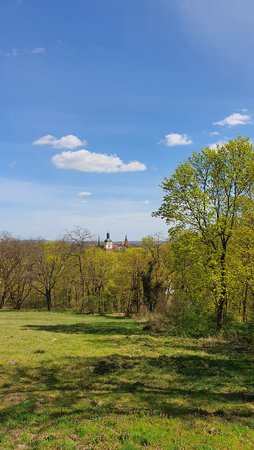 20200410_135829.jpg