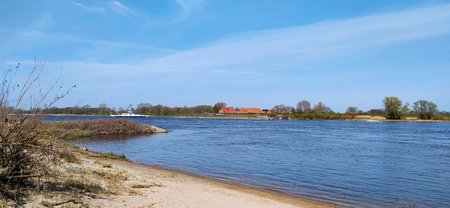 IMG_20200410_134648.jpg