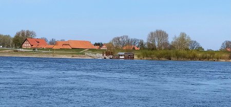 IMG_20200410_134118.jpg