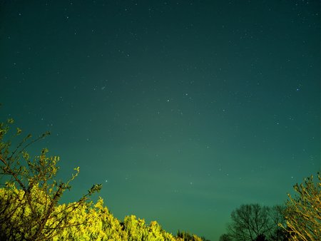 NEX_20200411_002422.jpg