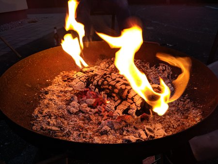 IMG_20200412_203155.jpg