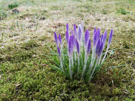IMG_20170302_080305_BURST002.jpg