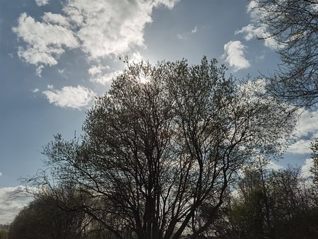 3_HuaweiP40pro.jpg