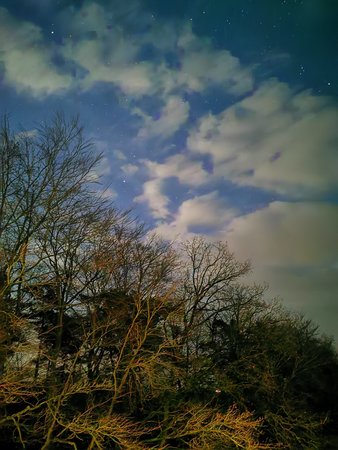 IMG_20200210_195300.jpg