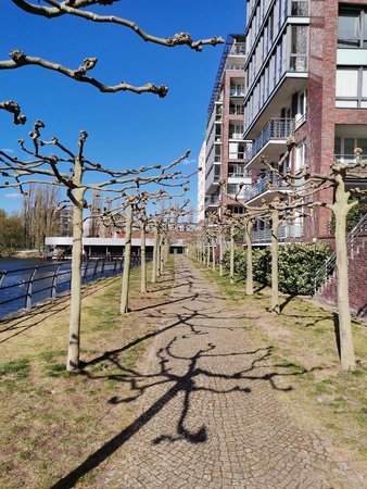 IMG_20200414_163134.jpg