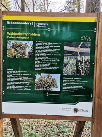 IMG_20200417_075759.jpg