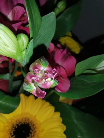 IMG_20200416_213105.jpg