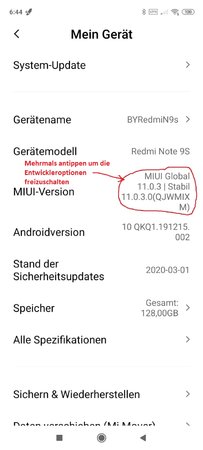 Entwickler__Option_freischalten.jpg