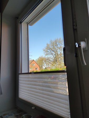 IMG_20200419_113912.jpg