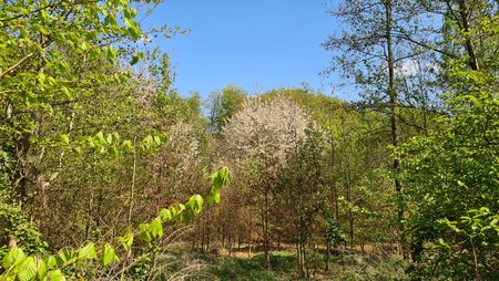 20200419_125735.jpg