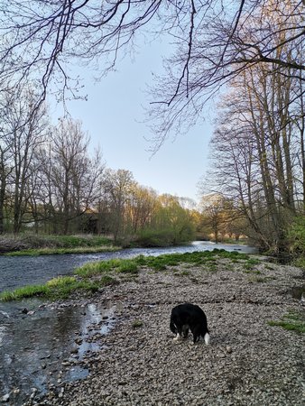 IMG_20200420_191658.jpg