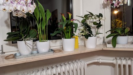 IMG_20200420_213723GCAM_Stativ.jpg