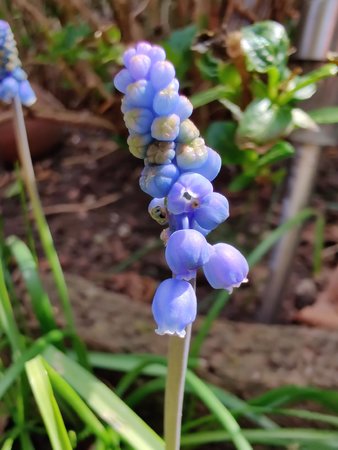 IMG_20200421_135548.jpg