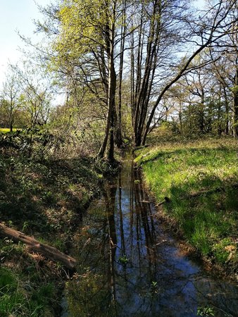 IMG_002.jpeg