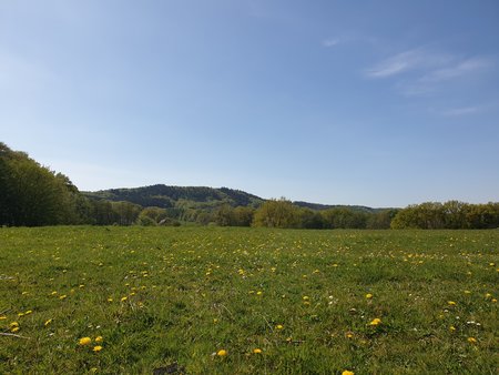 20200424_153305.jpg