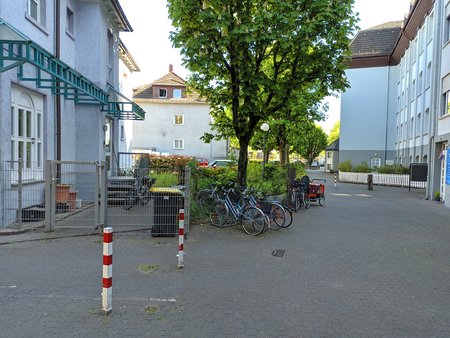 IMG_MIX2S_20200425_163538.jpg