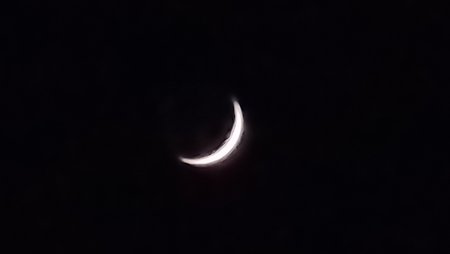 20200425_221011.jpg