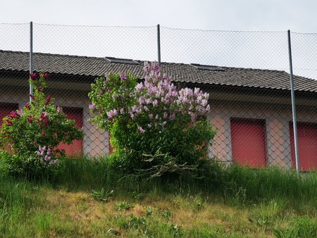 IMG_20200428_163818.jpg