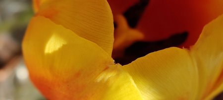 IMG_20200427_175330.jpg