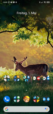 Screenshot_2020-05-01-10-47-26-585_amirz.rootless.nexuslauncher.jpg